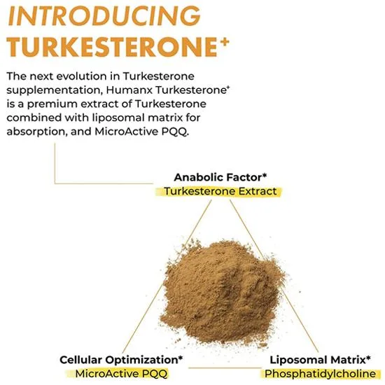 Muscle Building Ajuga Turkestanica Extract Powder 2% 10% Turkesterone Capsule